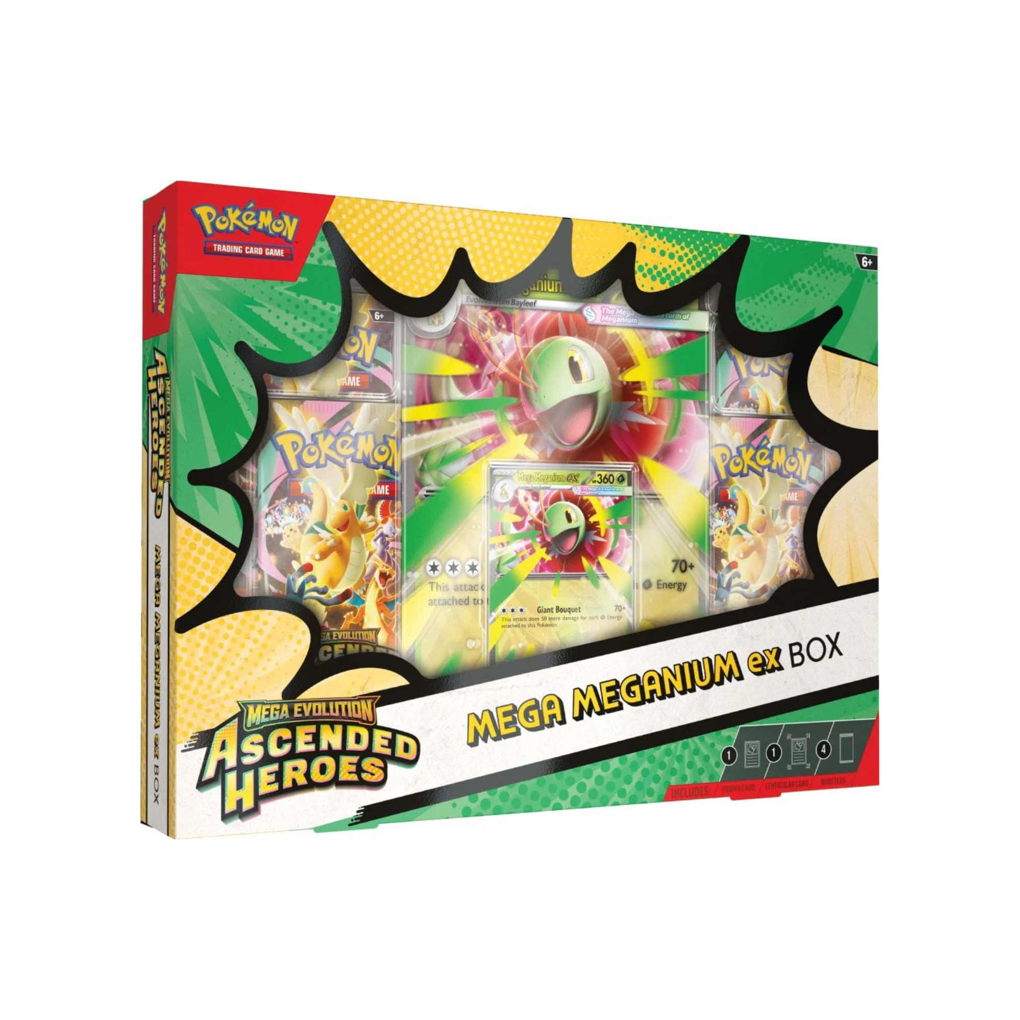 Pokémon Ascended Heroes Mega Meganium ex Box – PackSpotTCG