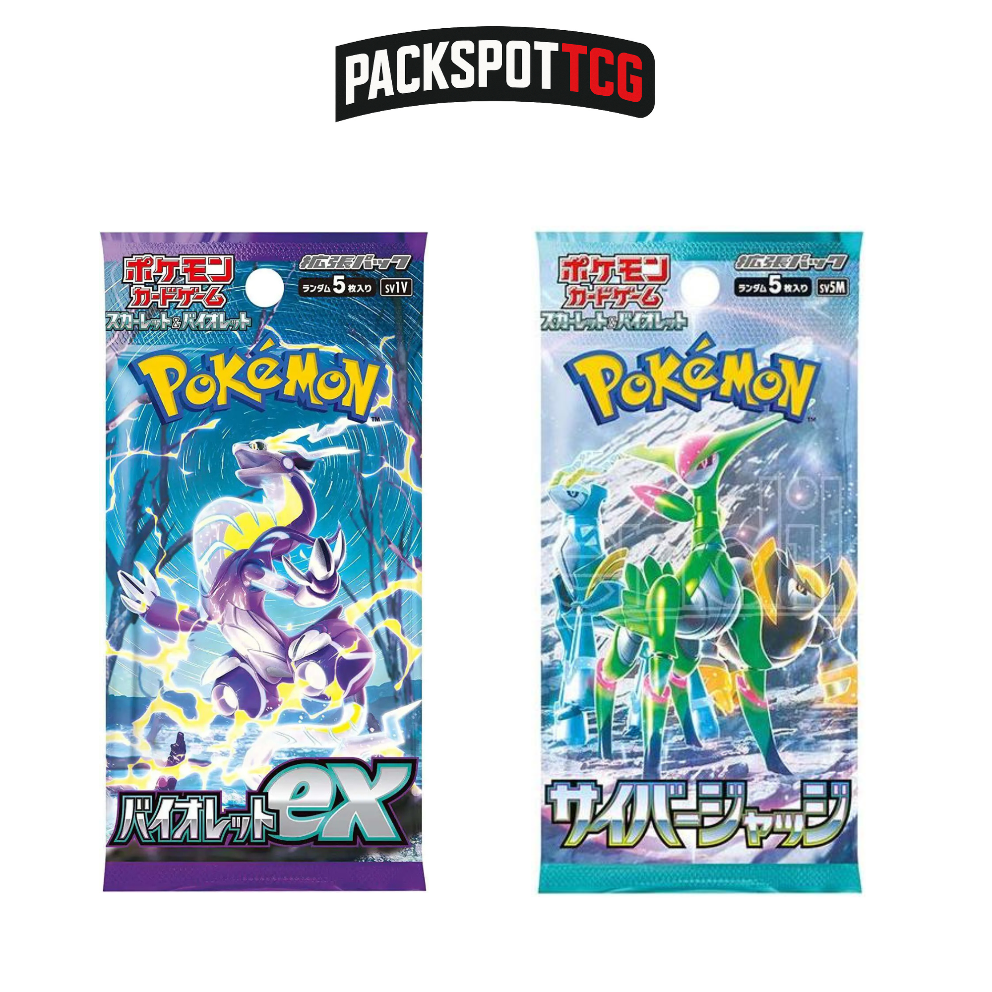 Japanese Pokemon Booster Pack Variety Bundle - 10 Packs